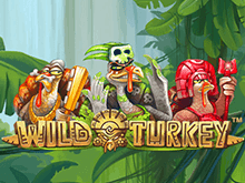 Игровой аппарат Wild Turkey: играть бесплатно