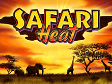 Игровой аппарат Safari Madness: играть онлайн